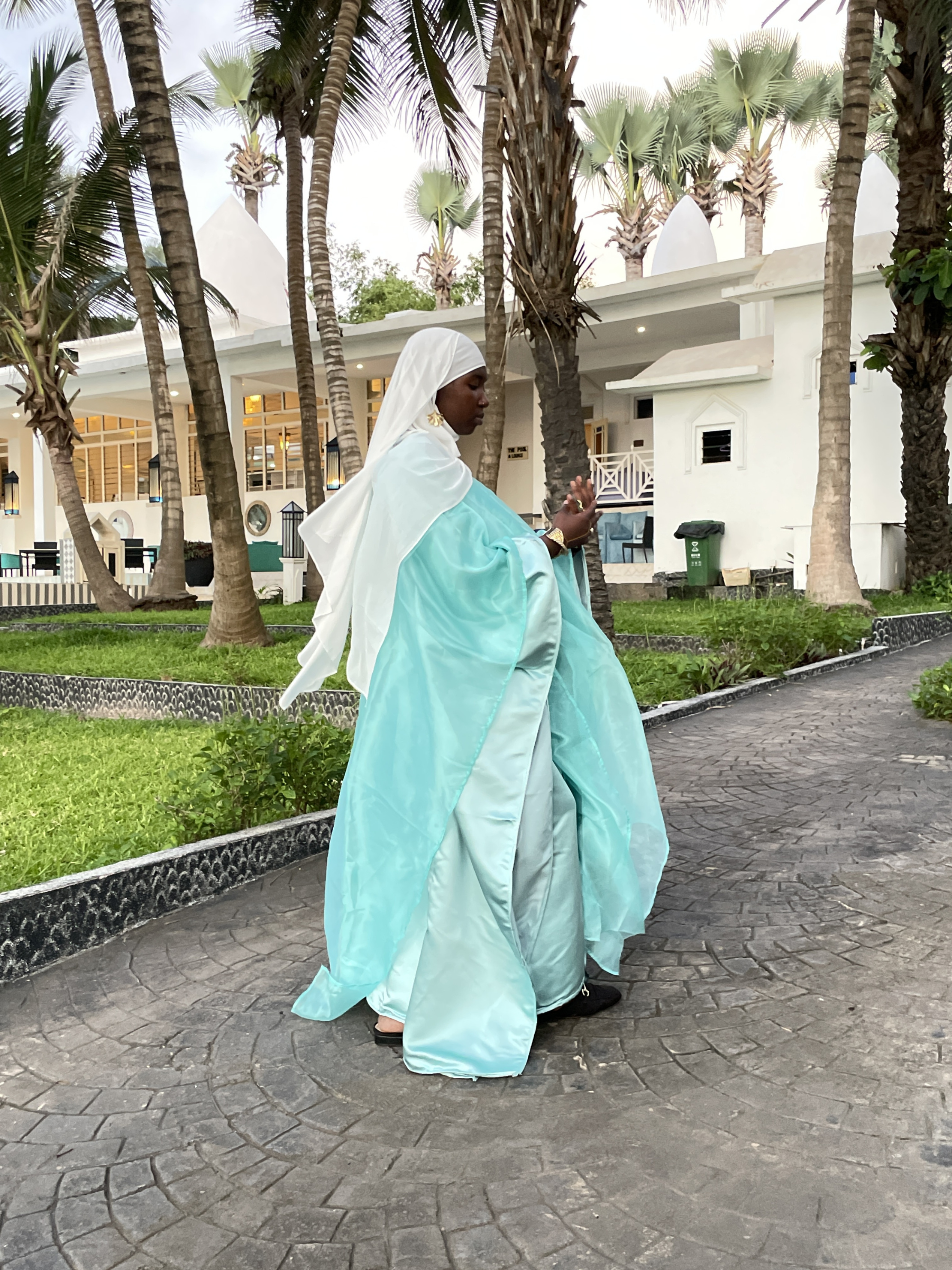 Hafsa Butterfly Dress Set - Sky Blue